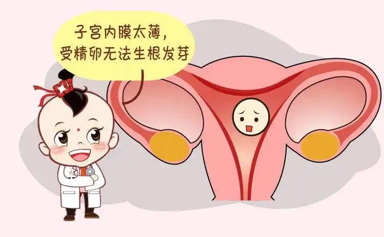 试管婴儿移植时怎样的子宫内膜最容易着床?