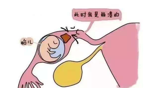 了解手术后的恢复过程